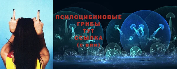 спиды Аркадак