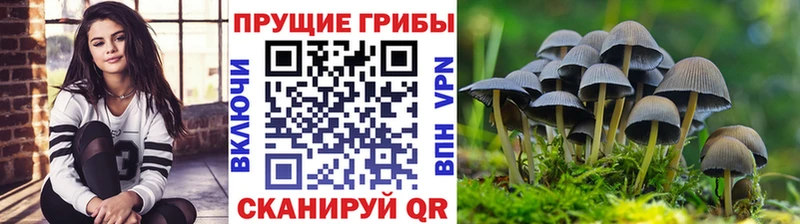 мега сайт  Ак-Довурак  Галлюциногенные грибы Cubensis  хочу  